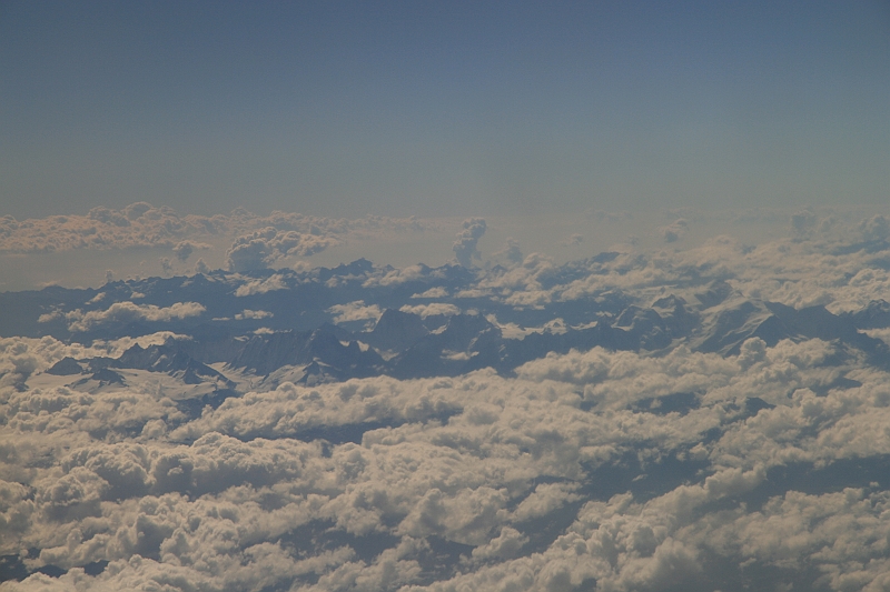 Kanary_2010 157